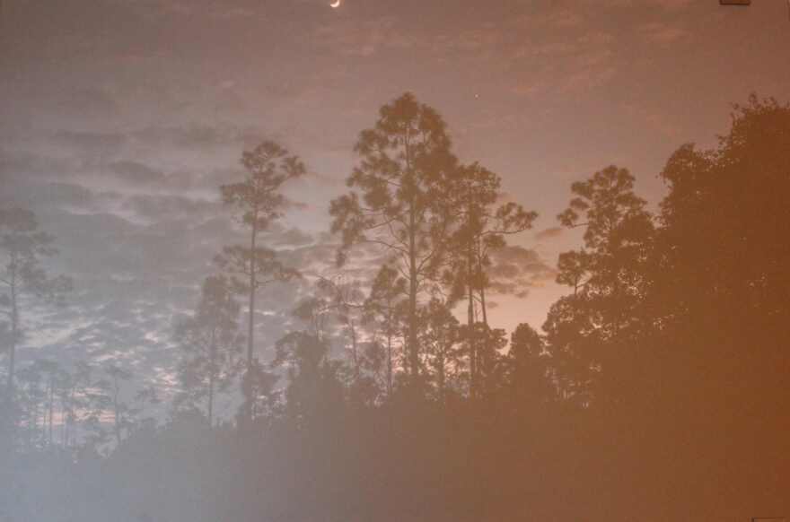 Jazz composition 'Convergence' inspired by celestial imagery in Shabaka photographs.