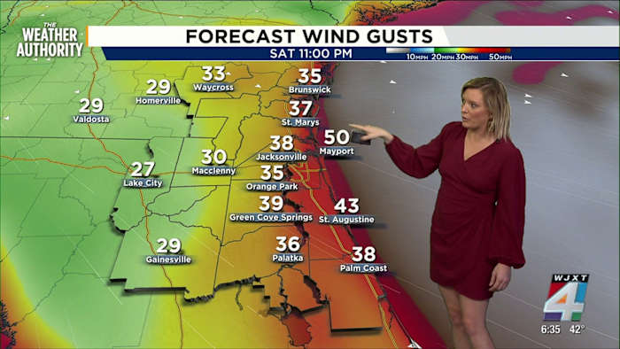 Extreme cold, wind advisories, and freeze warnings issued by News4JAX meteorologist Katie Garner