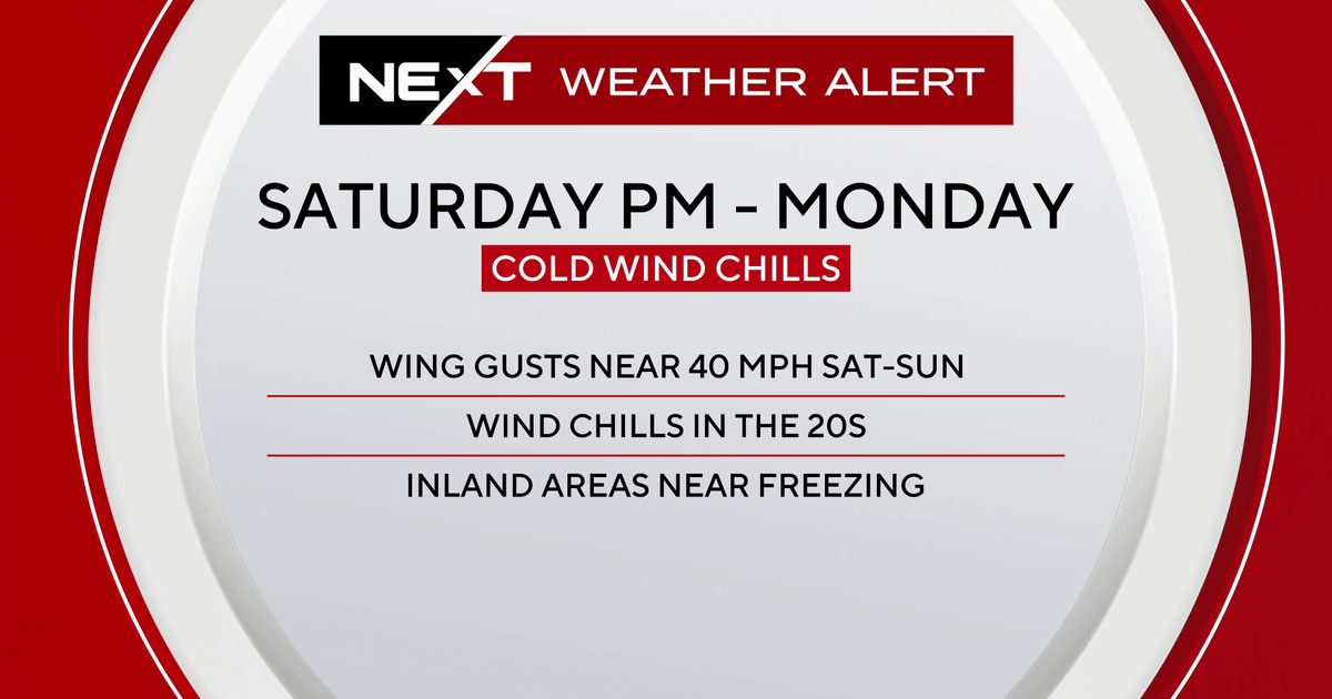 NEXT Weather Alert: Arctic air to bring wind gusts, wind chills in 20s to South Florida, with inland areas near freezing