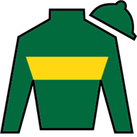 Horse Silk Aussie Girl