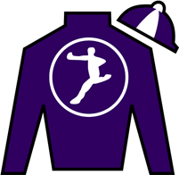 Horse Silk Madame Mischief