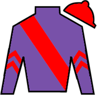 Horse Silk Belle Of Rights