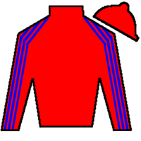 Horse Silk Public Defender