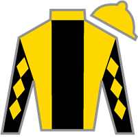 Horse Silk Love You Anyway