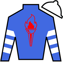 Horse Silk Charlie's Wish