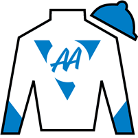 Horse Silk Discreet Dancer