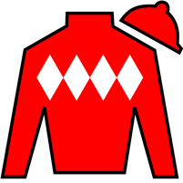 Horse Silk Quatrocento