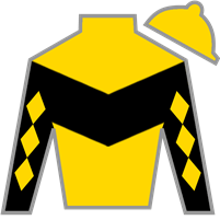 Horse Silk Spellcast