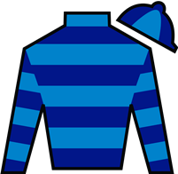 Horse Silk Tom's Magic