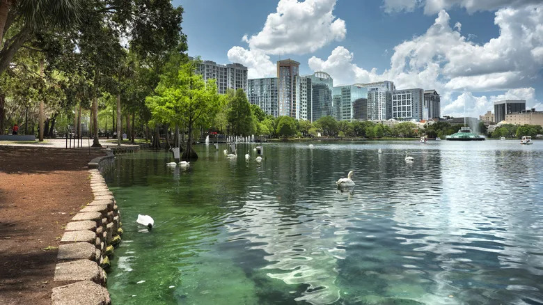 The Orlando skyline and Swans at Lake Eola Park in Orlando, Florida