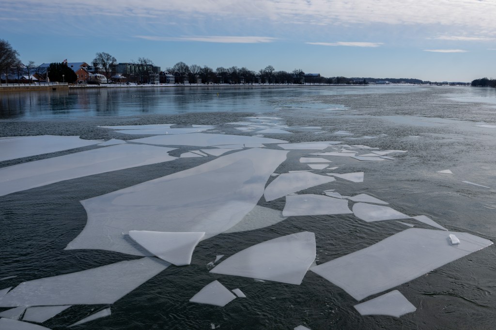Broken sheets of ice float in a river, with buildings and trees visible on the riverbank in the background.