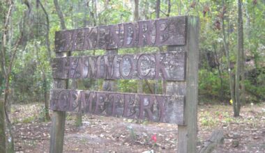 The sign marking McKendre Hammock Cemetery was covered by brush, bushes and vines. The family cemetery was restored by Boy Scout Troup 482 as part of the Eagle Scout Project by Caleb Martens.