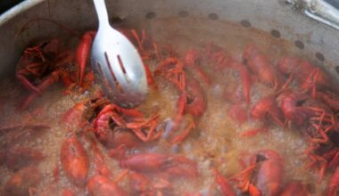 Yahoo lifestyle home