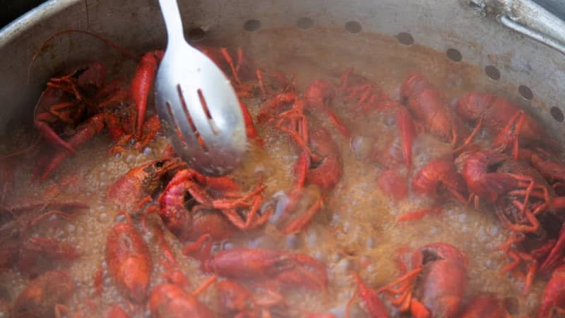 Yahoo lifestyle home