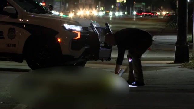 Pedestrian fatally struck in Fort Lauderdale hit-and-run - WSVN 7News | Miami News, Weather, Sports