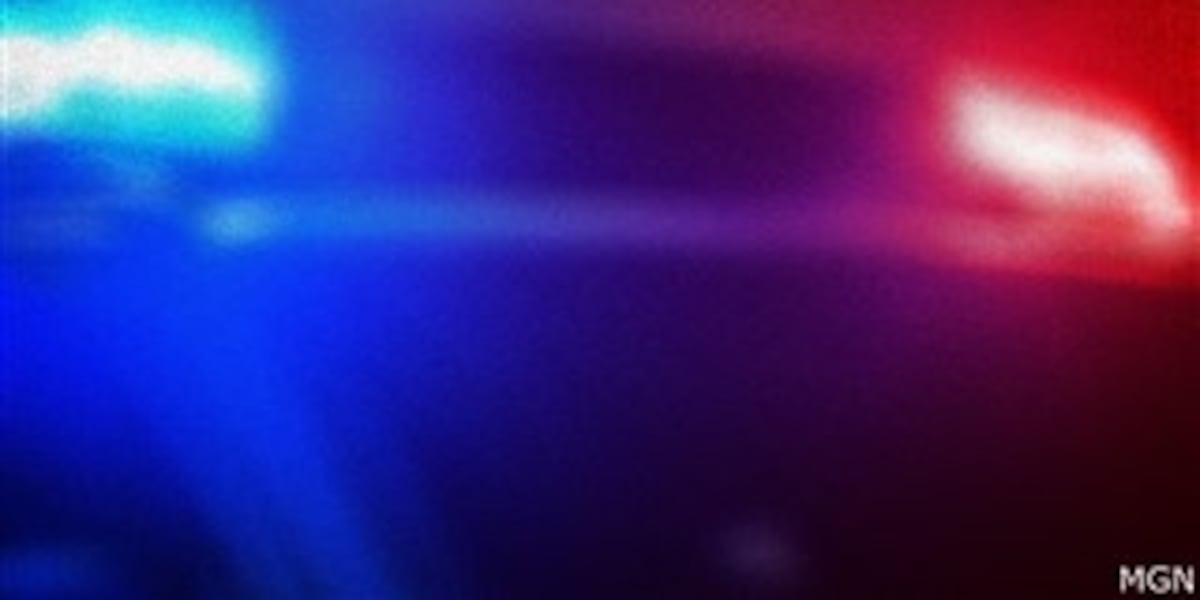 High-speed chase of stolen vehicle in Madison County ends in arrest