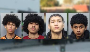 Men arrested in connection with murder of woman walking out of Little Havana food store