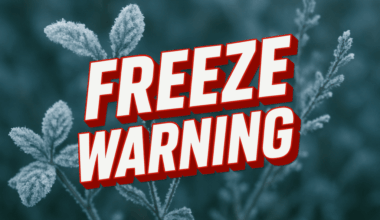 North Florida - Freeze Warning: Temps Drop to 24 Degrees; Alert Active Until 9AM Monday