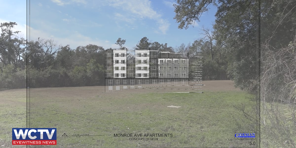 86 unit affordable housing complex could be coming to Tallahassee’s Southside