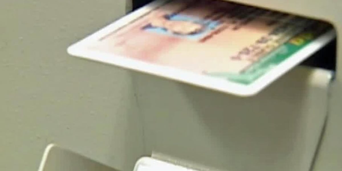 Florida driver’s license exams to be English-only starting February 6