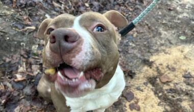 Prince and friends waiting for their happily ever after!