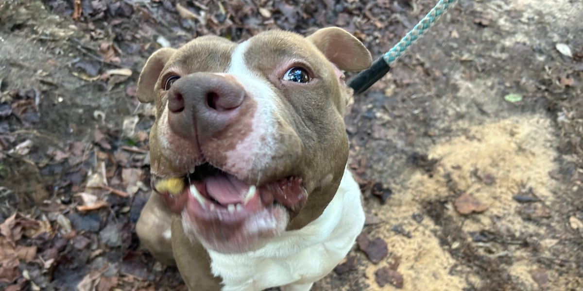 Prince and friends waiting for their happily ever after!