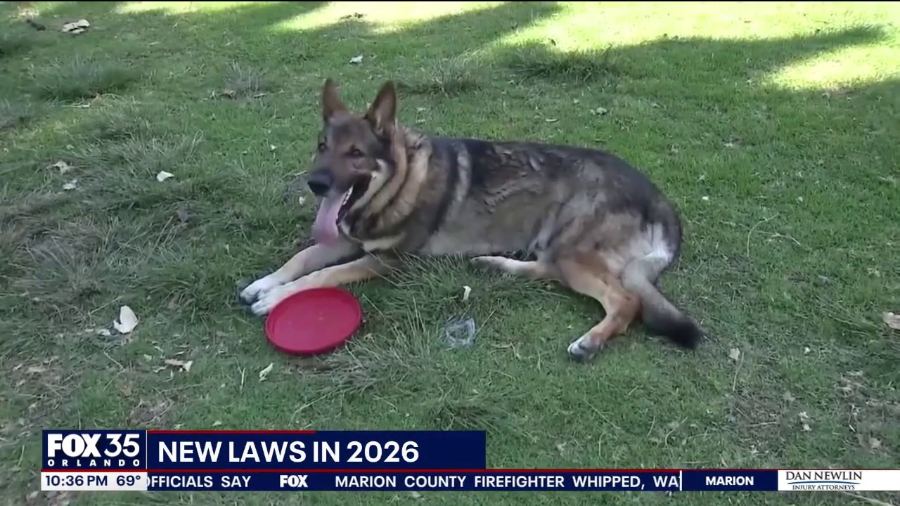 New Florida laws that go into effect Jan. 1, 2026