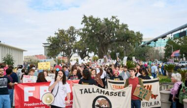March in Tallahassee, Florida against ICE murderers and Trump's agenda.
