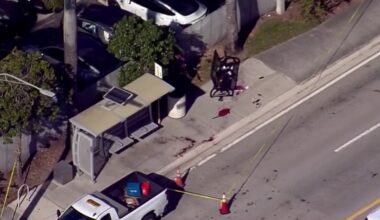 Person hospitalized after being shot in Fort Lauderdale, suspect detained – NBC 6 South Florida