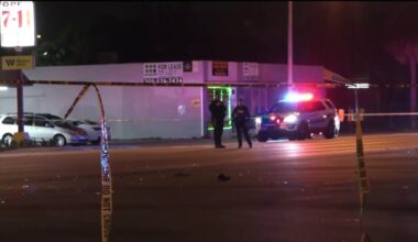 Investigation underway after person found dead on North Miami roadway – NBC 6 South Florida