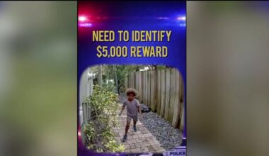 Police searching for child who was caught on camera killing duck in Fort Lauderdale – NBC 6 South Florida