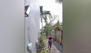 Police search for child accused of killing duck in Fort Lauderdale – NBC 6 South Florida