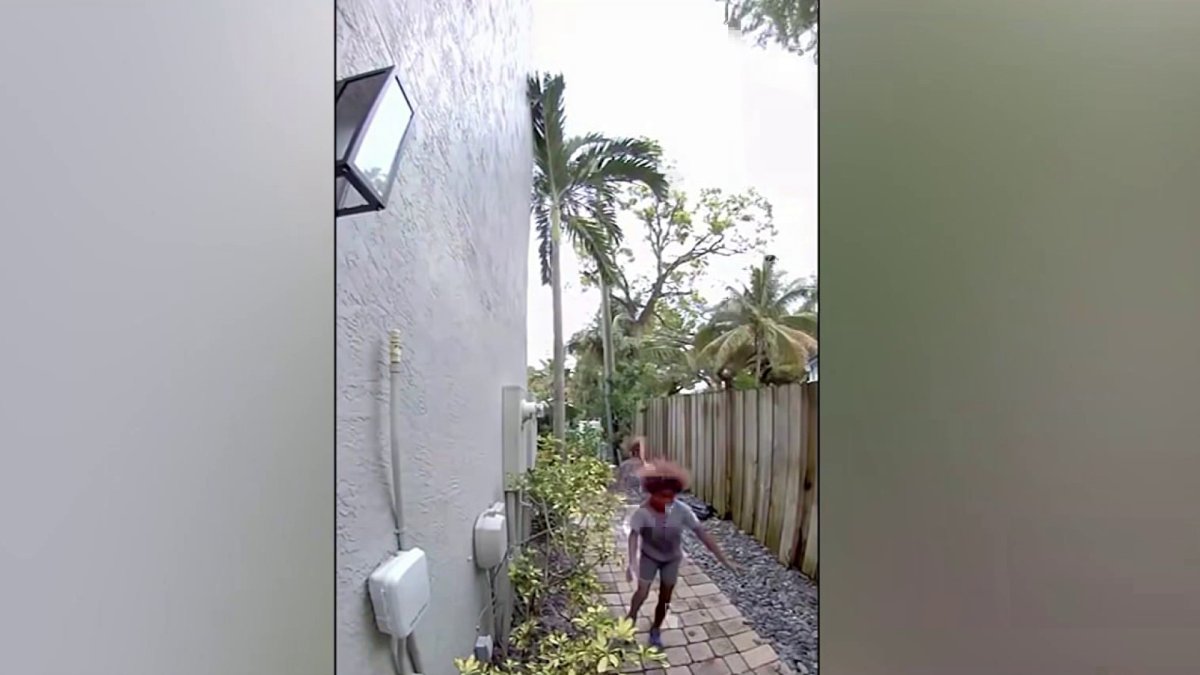 Police search for child accused of killing duck in Fort Lauderdale – NBC 6 South Florida