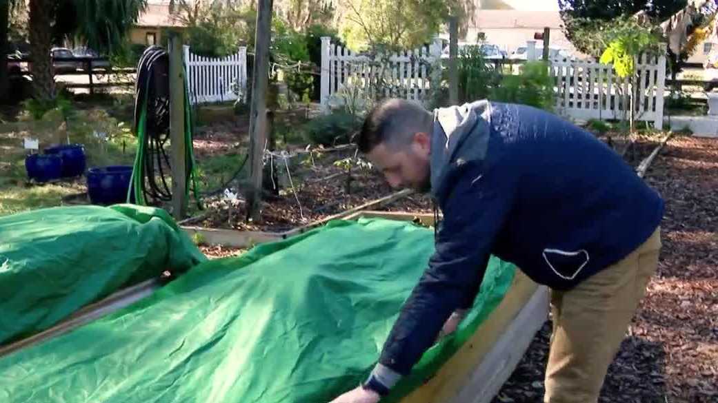 How to protect your plants during the Central Florida freeze