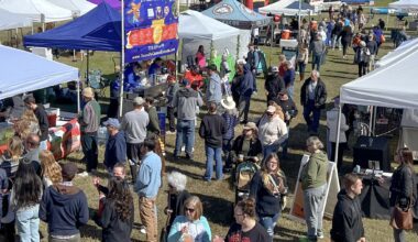 Pinellas salutes the taco Saturday and Sunday