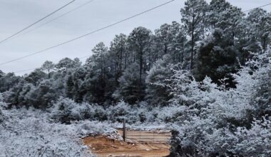 Snow hits small part of Florida for second year in a row