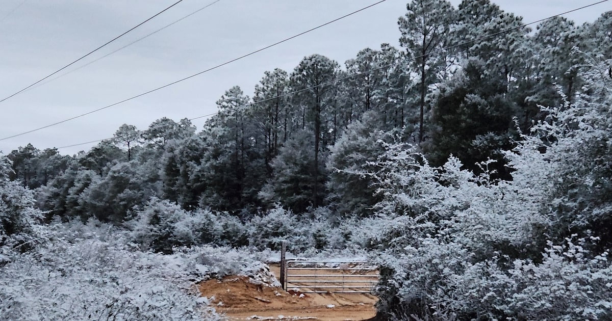 Snow hits small part of Florida for second year in a row