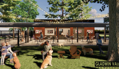 Land cleared for new dog park and brewery slated to open this fall in Tallahassee
