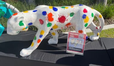 Florida Panthers enlist stars for unique cancer fundraiser, showing it off at Winter Classic :: WRAL.com