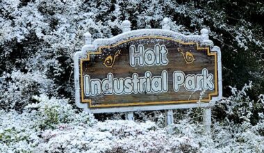 Small part of Sunshine State becomes Snowy State as Florida gets snow second year in a row :: WRAL.com