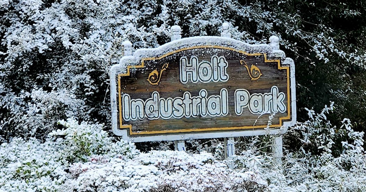 Small part of Sunshine State becomes Snowy State as Florida gets snow second year in a row :: WRAL.com