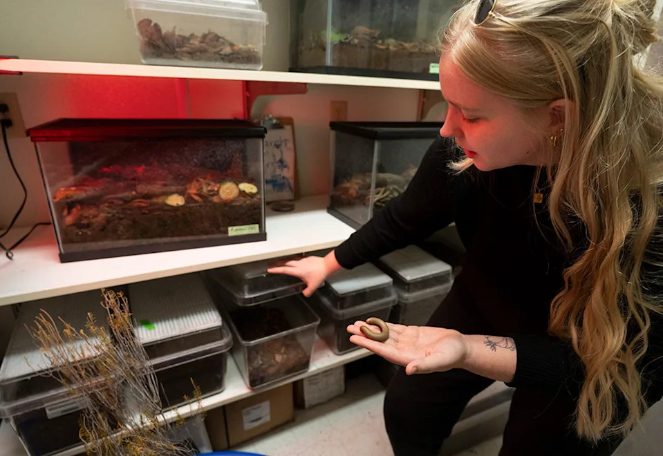 a woman holds a large millepede in her hand 
