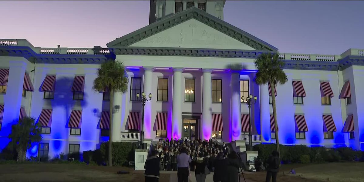 Historic Florida Capitol lit up purple for Alzheimer’s awareness