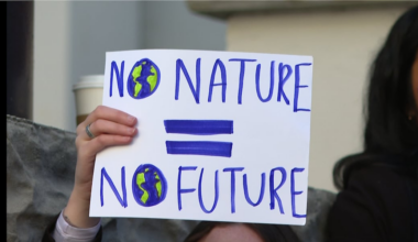 Florida students rally for environmental rights