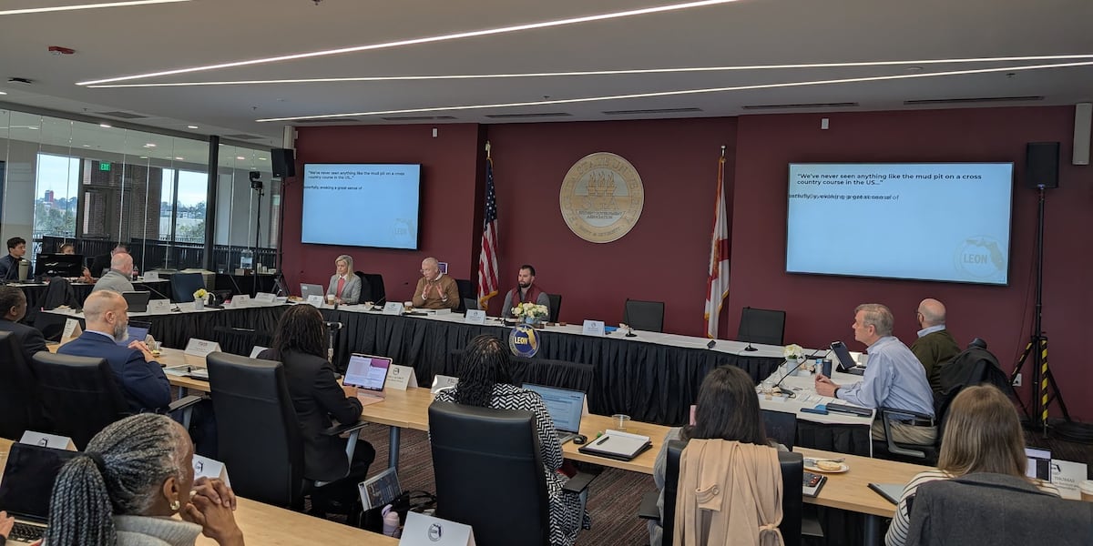 Leon County weighs how to fight legislature on property taxes