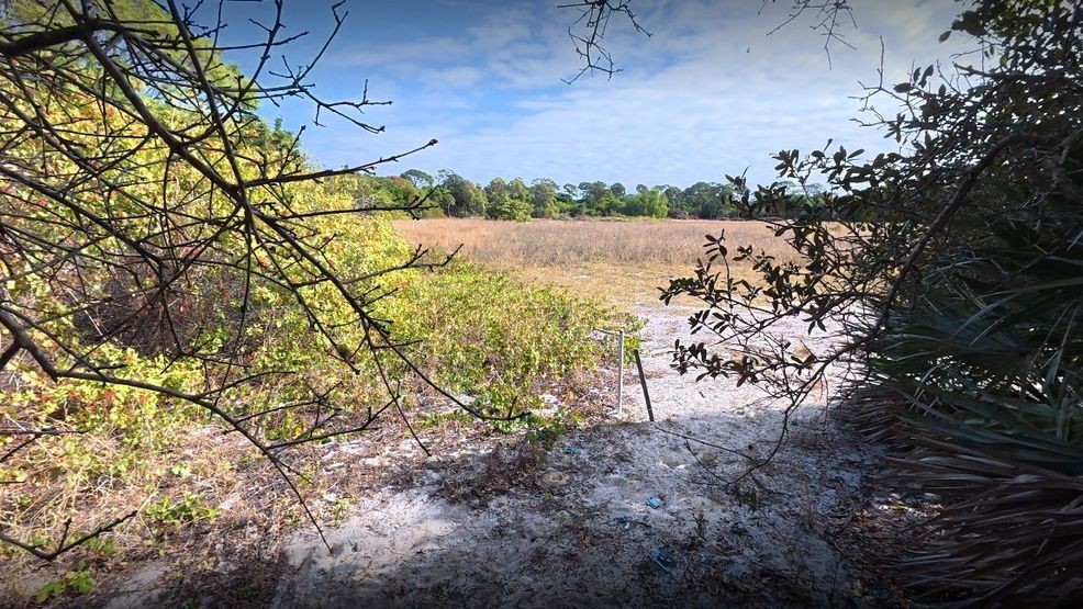 The 19‑acre former carnation farm at 9450 SE Gomez Avenue in Hobe Sound sits overgrown and vacant as county officials move forward with a brownfield designation and plans for state‑supervised cleanup. (WPEC)