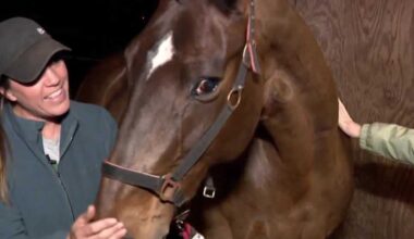 Gardens, stables prepare for extreme cold weather in Central Florida