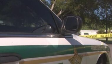 Deputies investigate several fires set in Fort Myers, one person in custody | Lee County