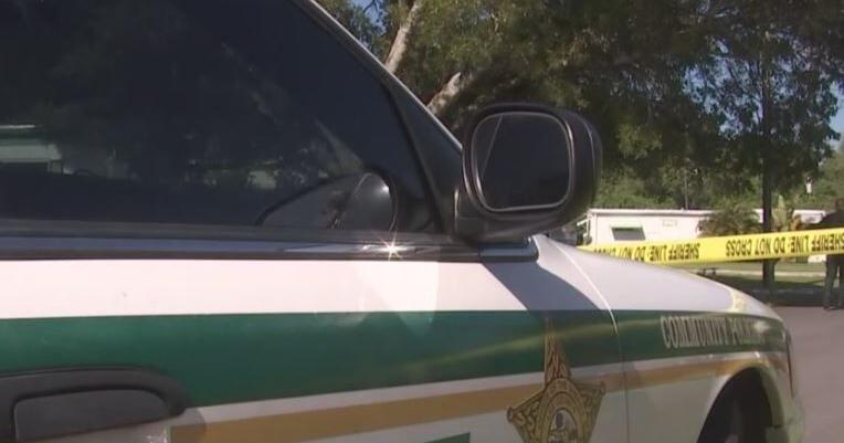Deputies investigate several fires set in Fort Myers, one person in custody | Lee County