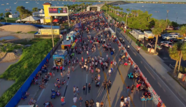 Cape Coral Parkway transforms for national art festival | Lee County